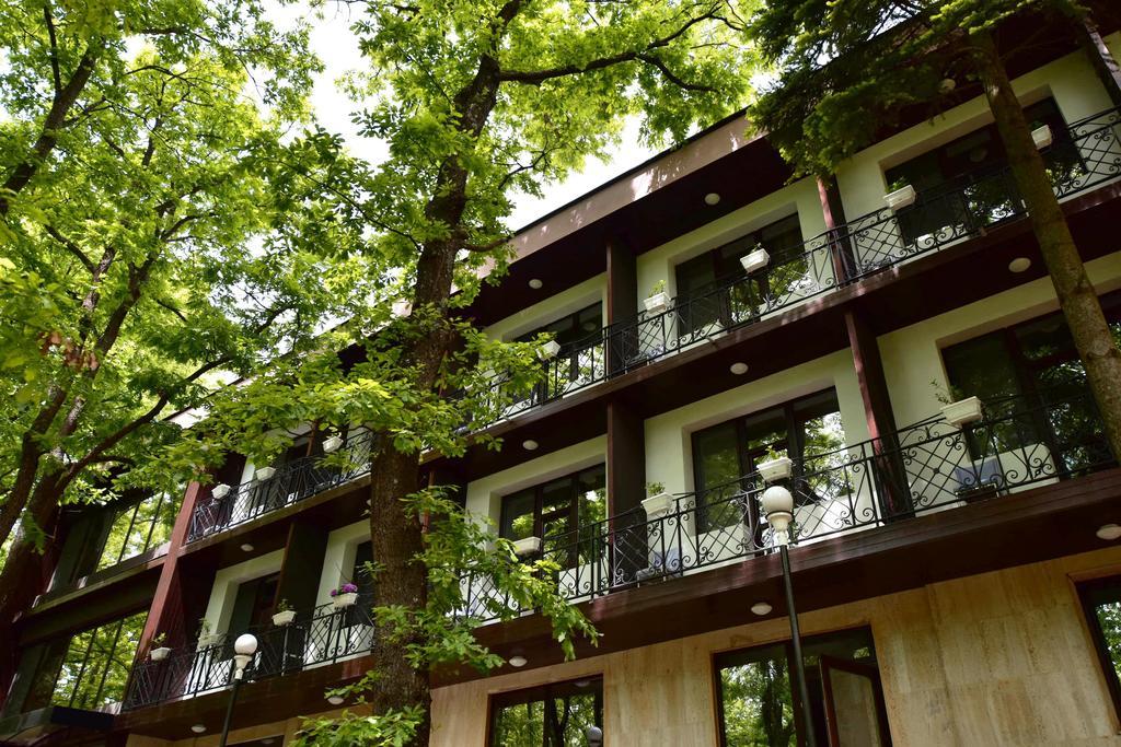 Boutique Hotel Lyulyak Старозагорські Бані Екстер'єр фото